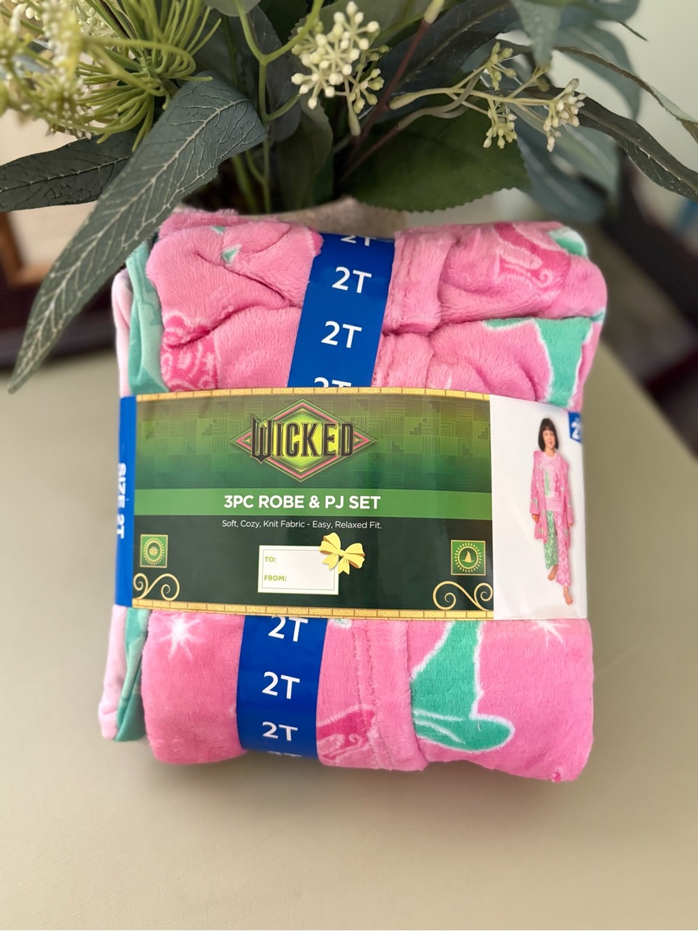Wicked 3PC Kids Robe & Pink Pajama Set - 2T